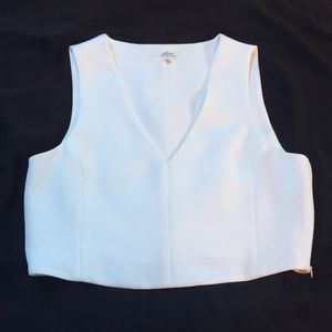 Wilfred for Aritzia white crop top